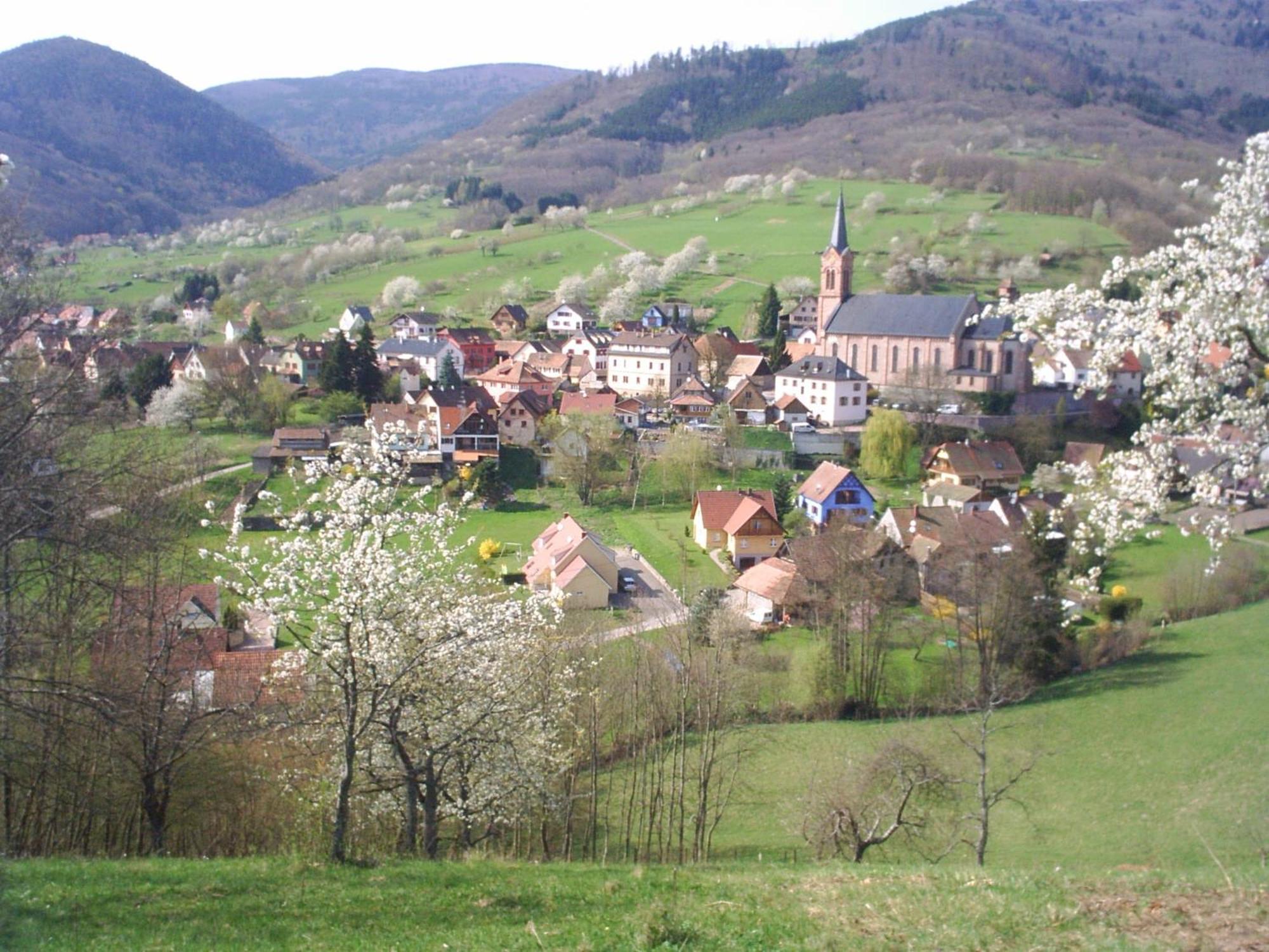 Gite Bellevue Breitenbach Exterior foto