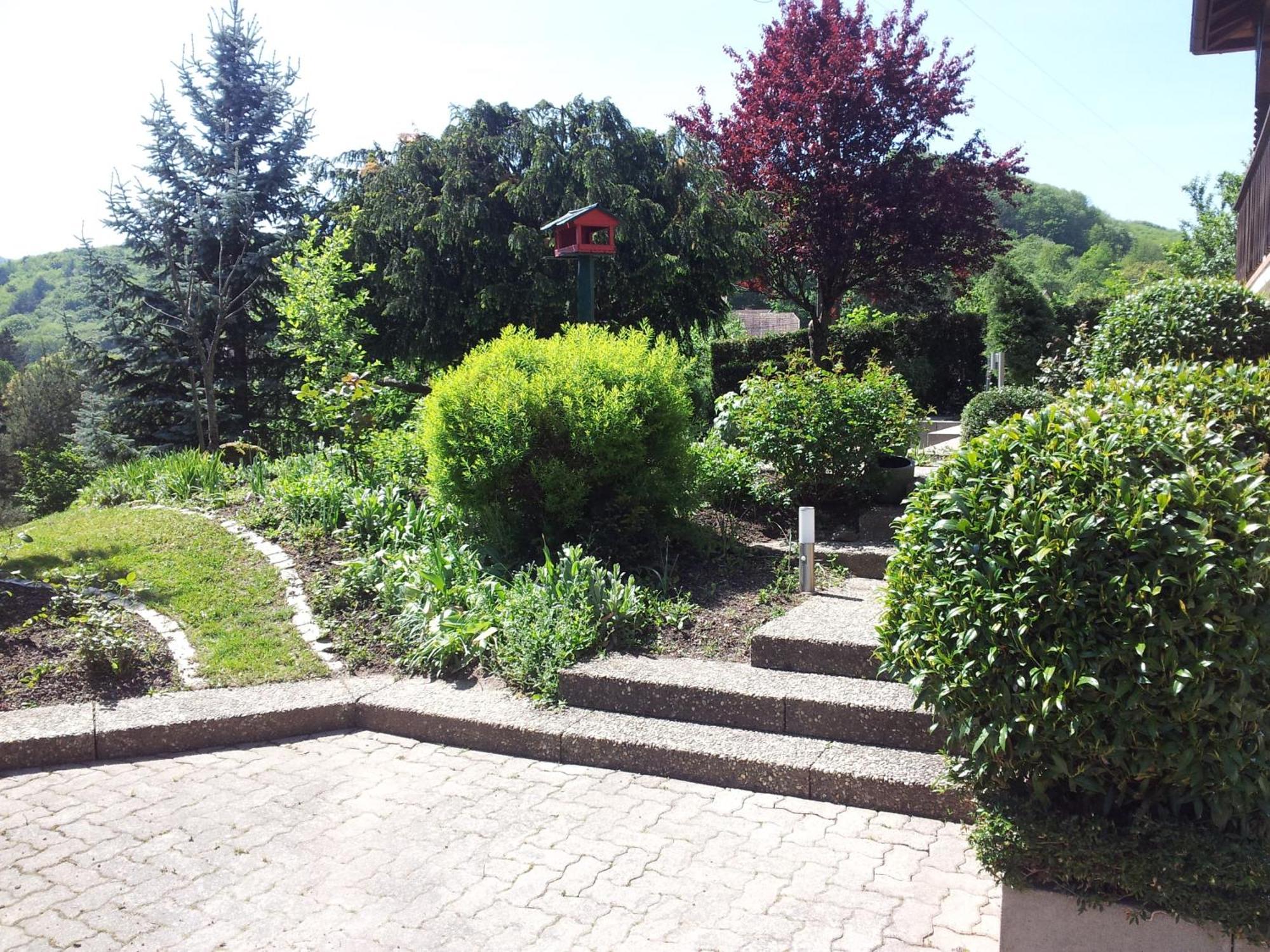 Gite Bellevue Breitenbach Exterior foto
