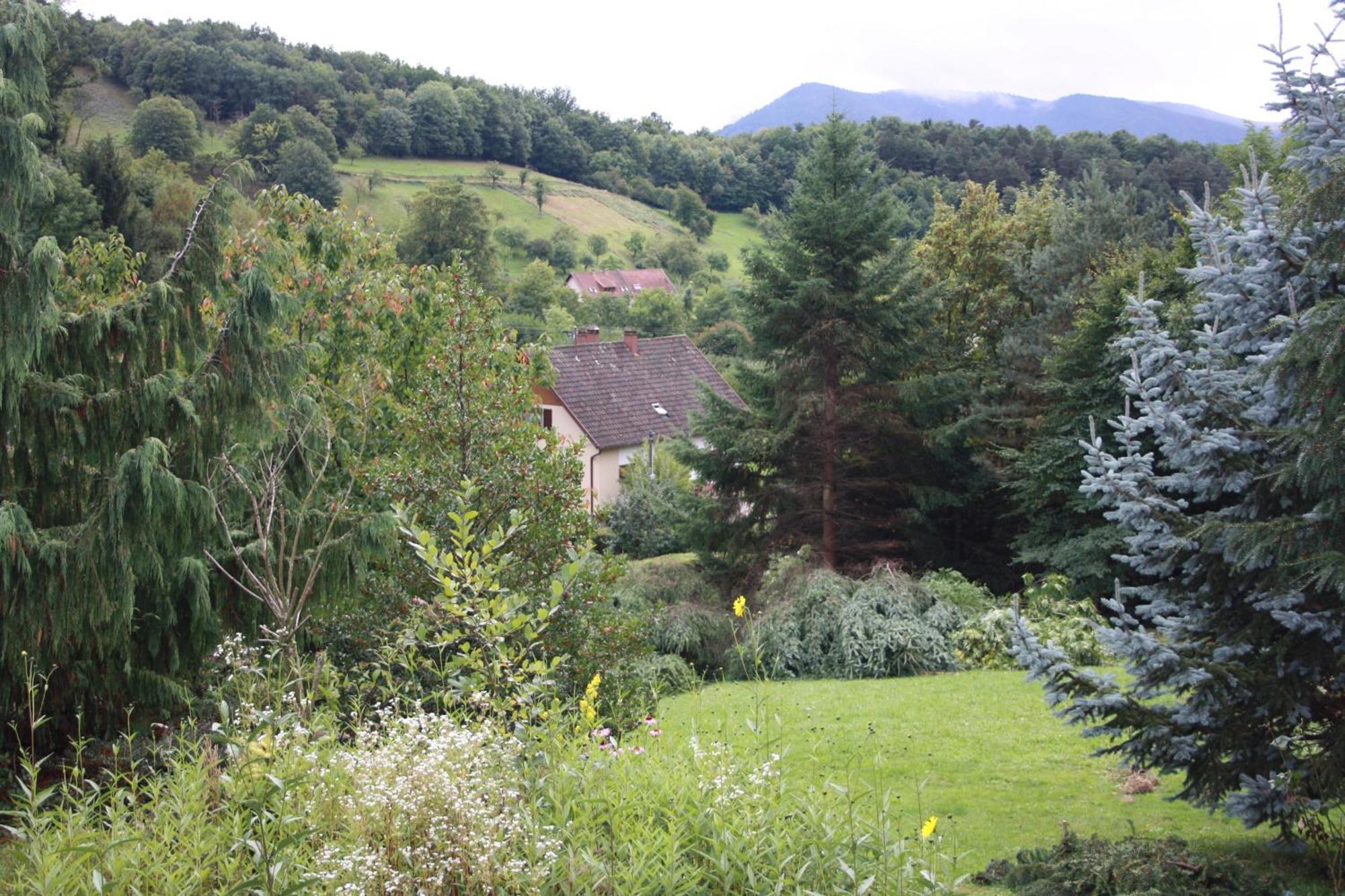 Gite Bellevue Breitenbach Exterior foto