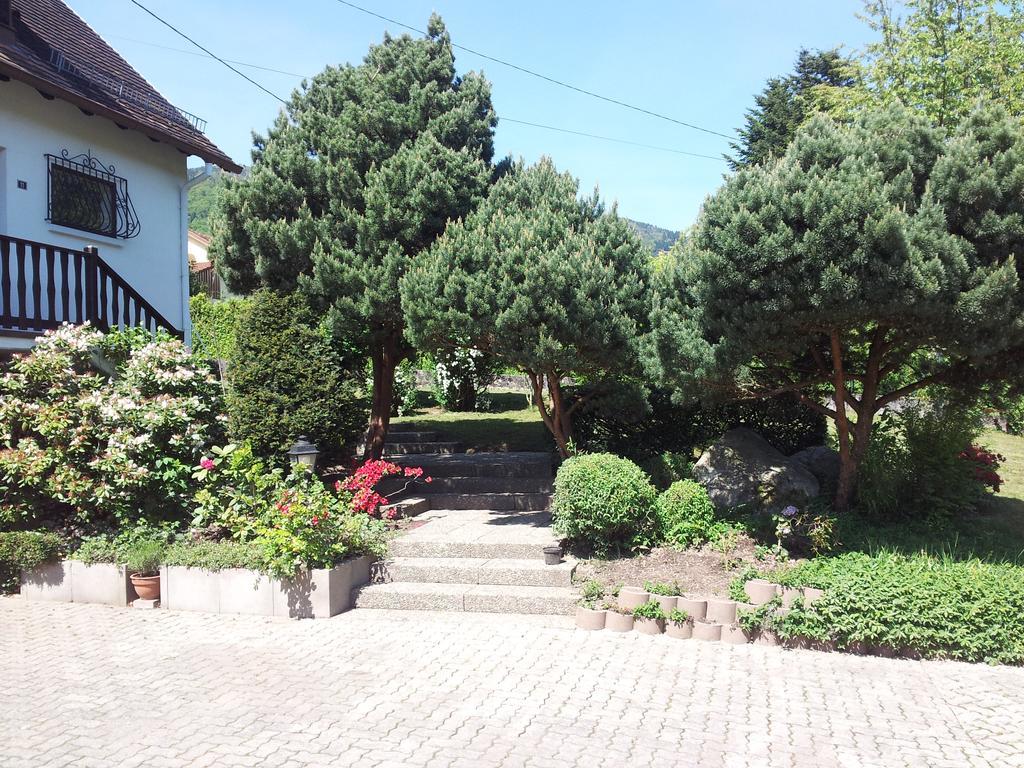 Gite Bellevue Breitenbach Exterior foto